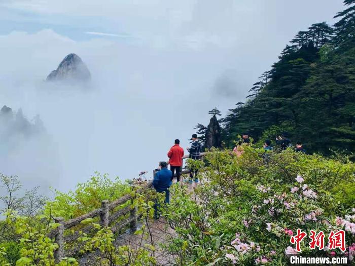 海外华文媒体点赞黄山生态保护