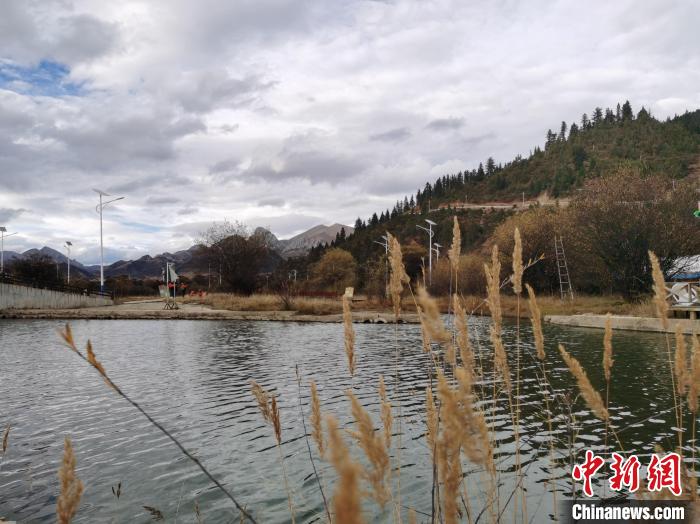图为西藏昌都市类乌齐县境内的澜沧江支流紫曲河国家湿地公园。　张添福 摄